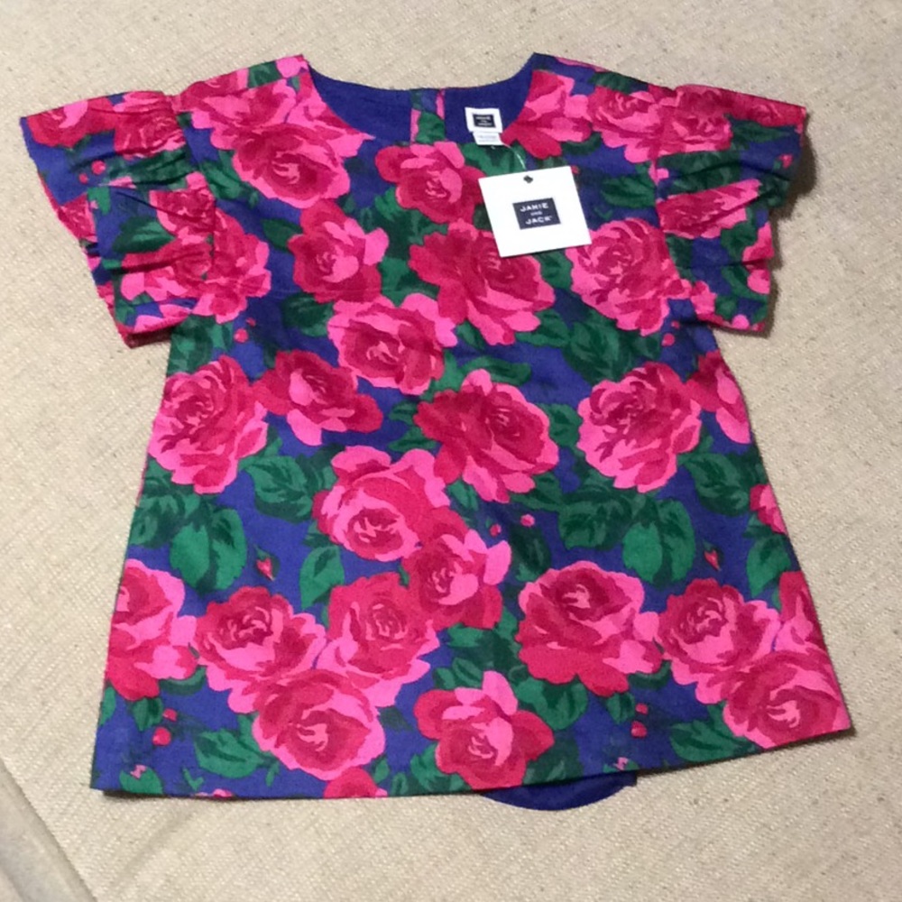 Janie and Jack NWT 12 to 18 months rose dress
